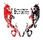 Double Dragon Security