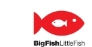 BIG FISH LITTLE FISH