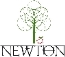 Newton IT Solutions