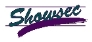 Showsec International