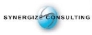 Synergize Consulting