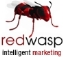 Red Wasp Marketing